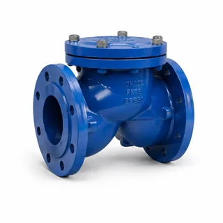 شیر یکطرفه چدنی زبانه فلزی "10 اینچ (DN250) فاراب F6